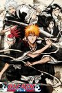 Bleach Full Series